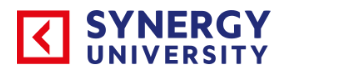 Synergy University