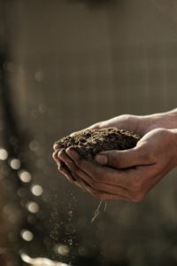 5 reasons to study a master’s in agriculture