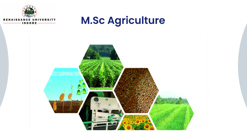 M.Sc Agriculture Course After Graduation 