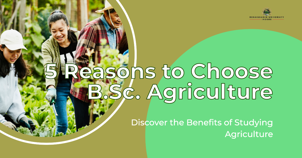 Harvesting Opportunities: Top 5 Reasons to Pursue B.Sc. Agriculture
